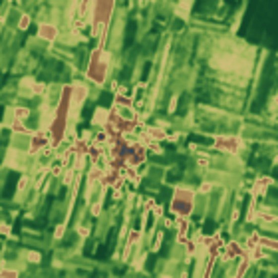 Crop vigour map of Bijjawara fields