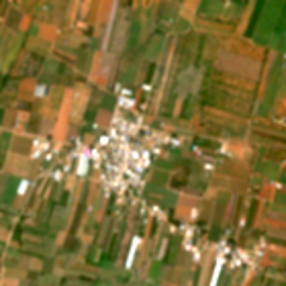 Sentinel-2 image of Bijjawara village and fields, 14 October 2026